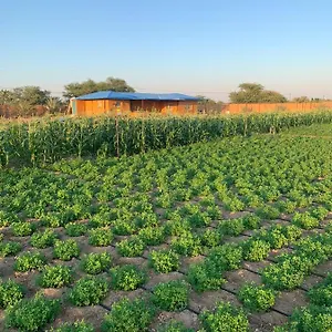 Farm