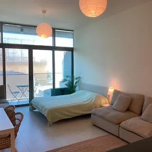 Apartament Fully Furnished With Balcony, Shared Infinity Pool, Gym And Private Parking Abu Zabi